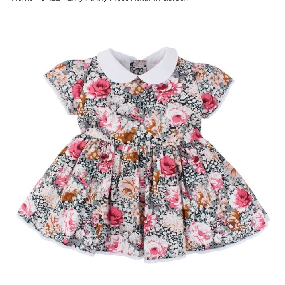 Livly Fanny Dress. Autumn garden print. 6-9m. NWT.